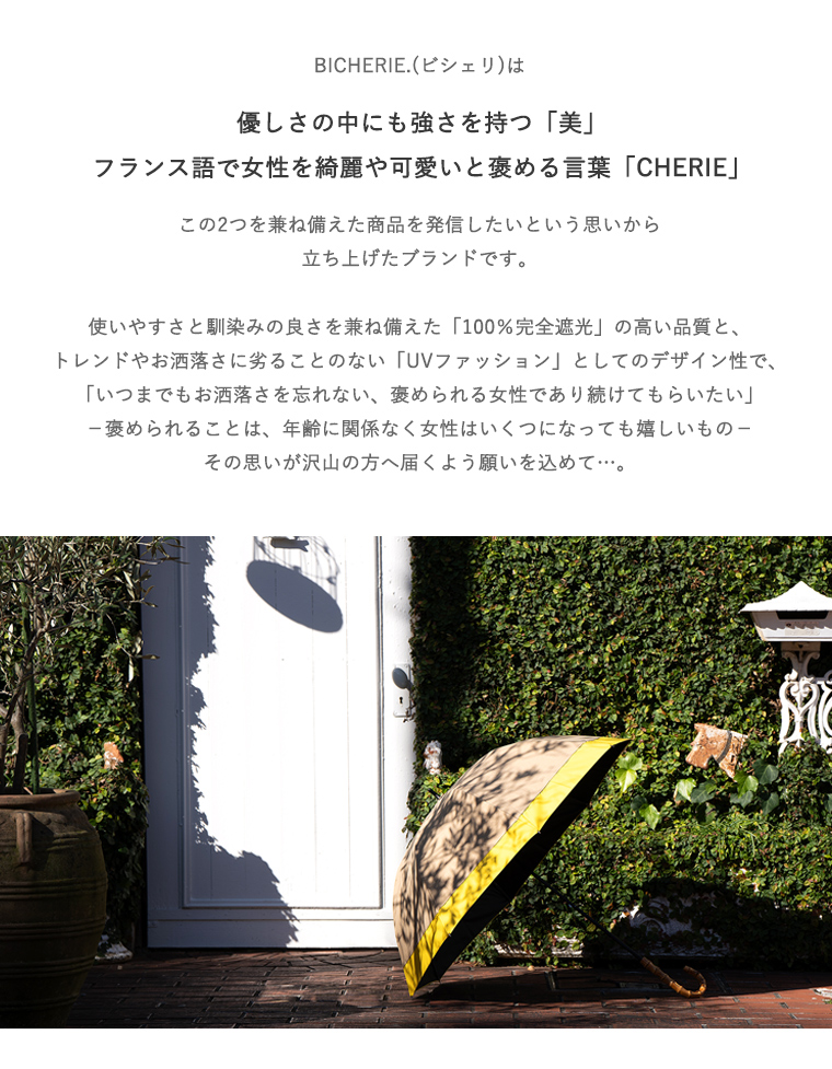 ビシェリについて