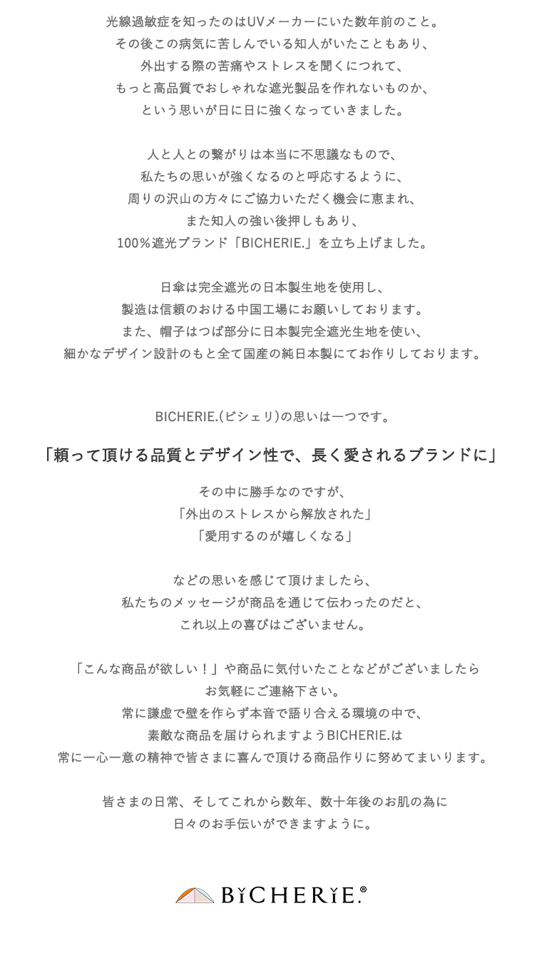 ビシェリについて